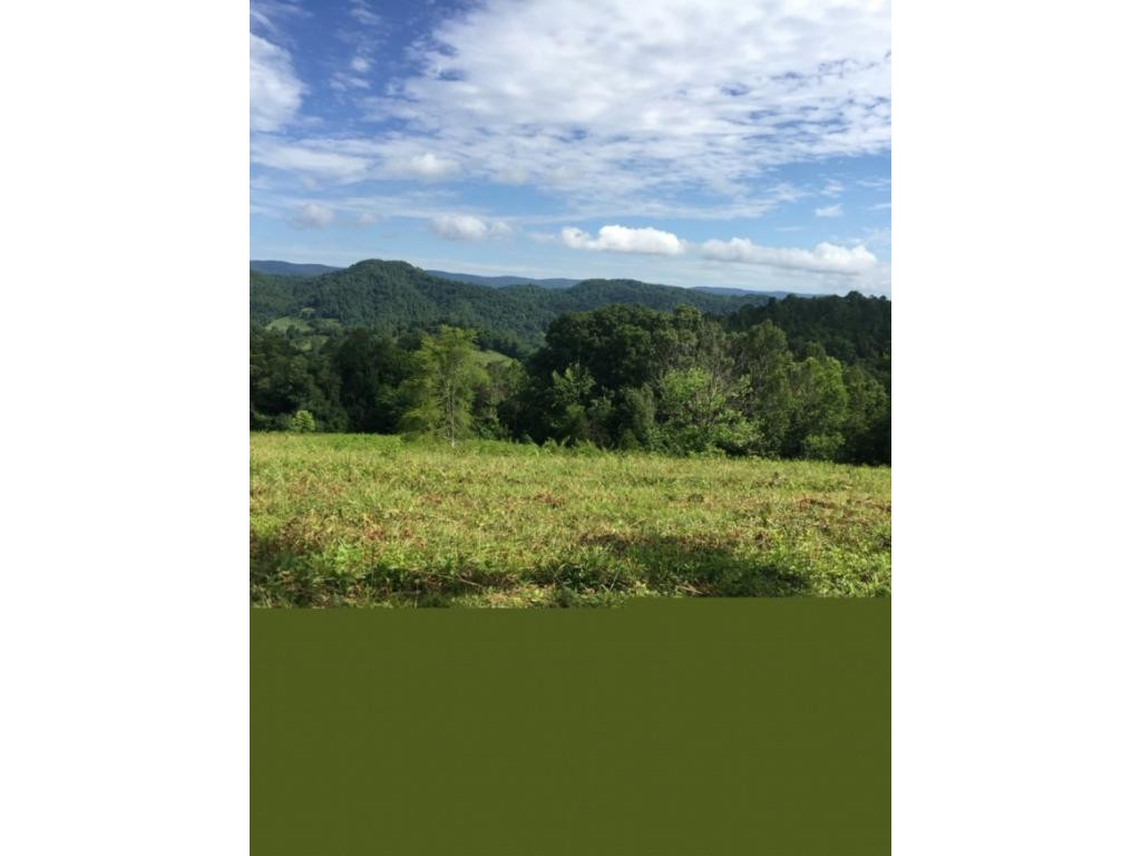 0 Mccoy Road Sneedville, TN 37869 - Photo 3 of 16 Photo 3