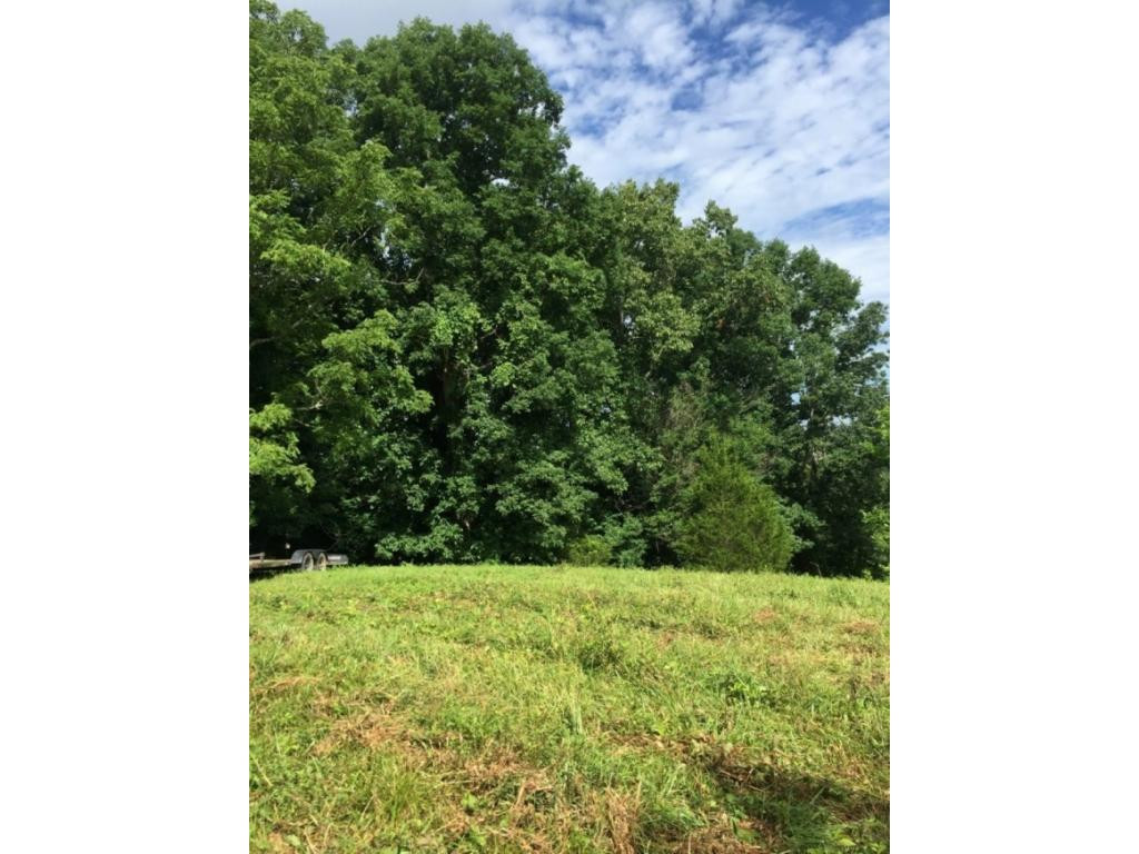 0 Mccoy Road Sneedville, TN 37869 - Photo 5 of 16 Photo 5