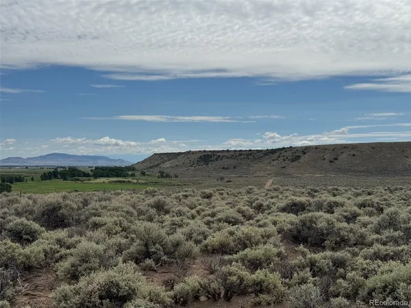 a view of a dry yard with wooden floor and fence