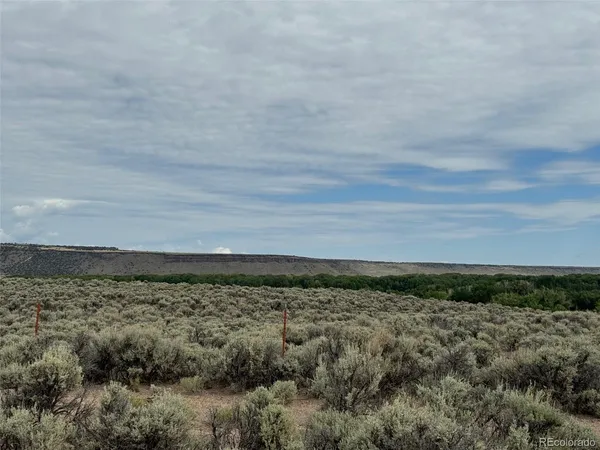 a view of a field with large trees