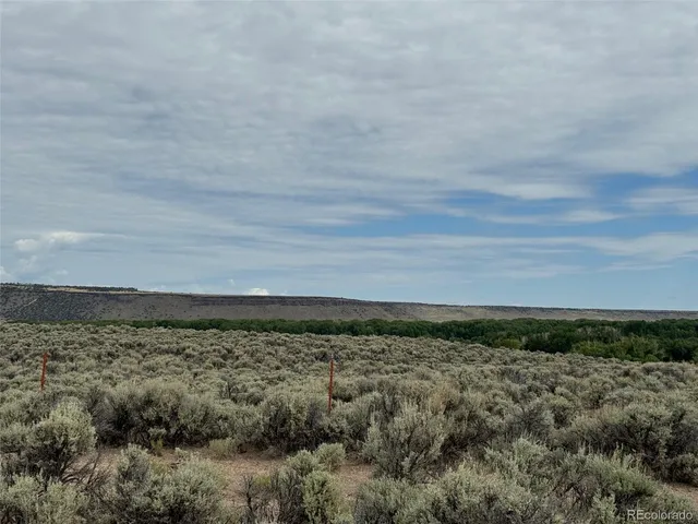a view of a field with large trees
