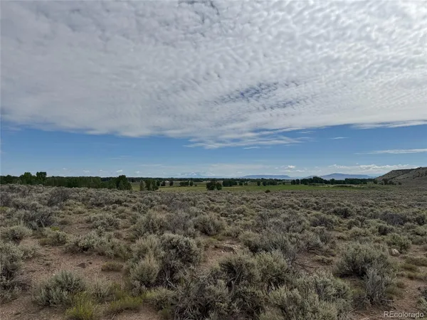 a view of a field with an ocean