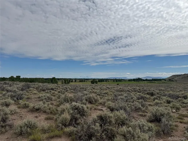 a view of a field with an ocean