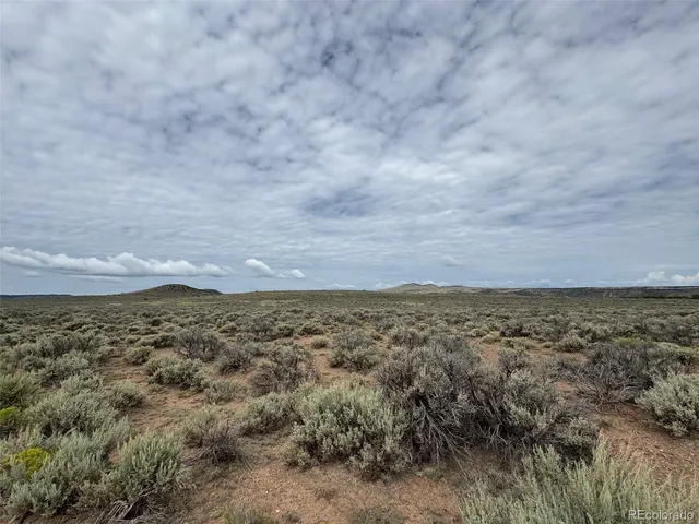 a view of beach and yard