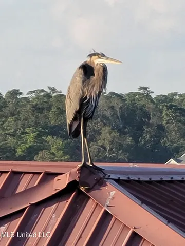 $1,695,000 | 2004 Bayou Laporte Drive, Biloxi, MS 39531