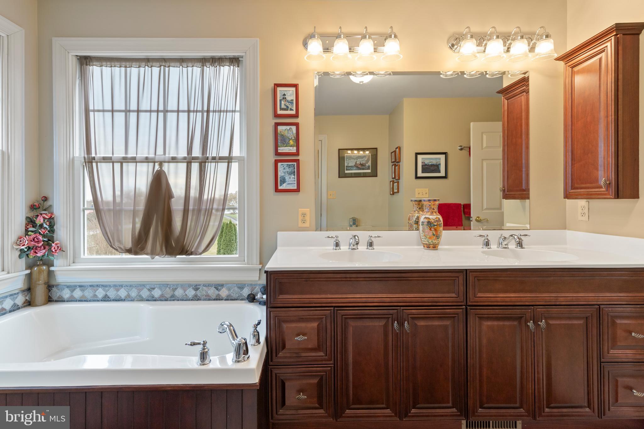 2183 Amoss Mill Road Pylesville, MD 21132 - Photo 39 of 90 a bathroom with a tub sink and mirror