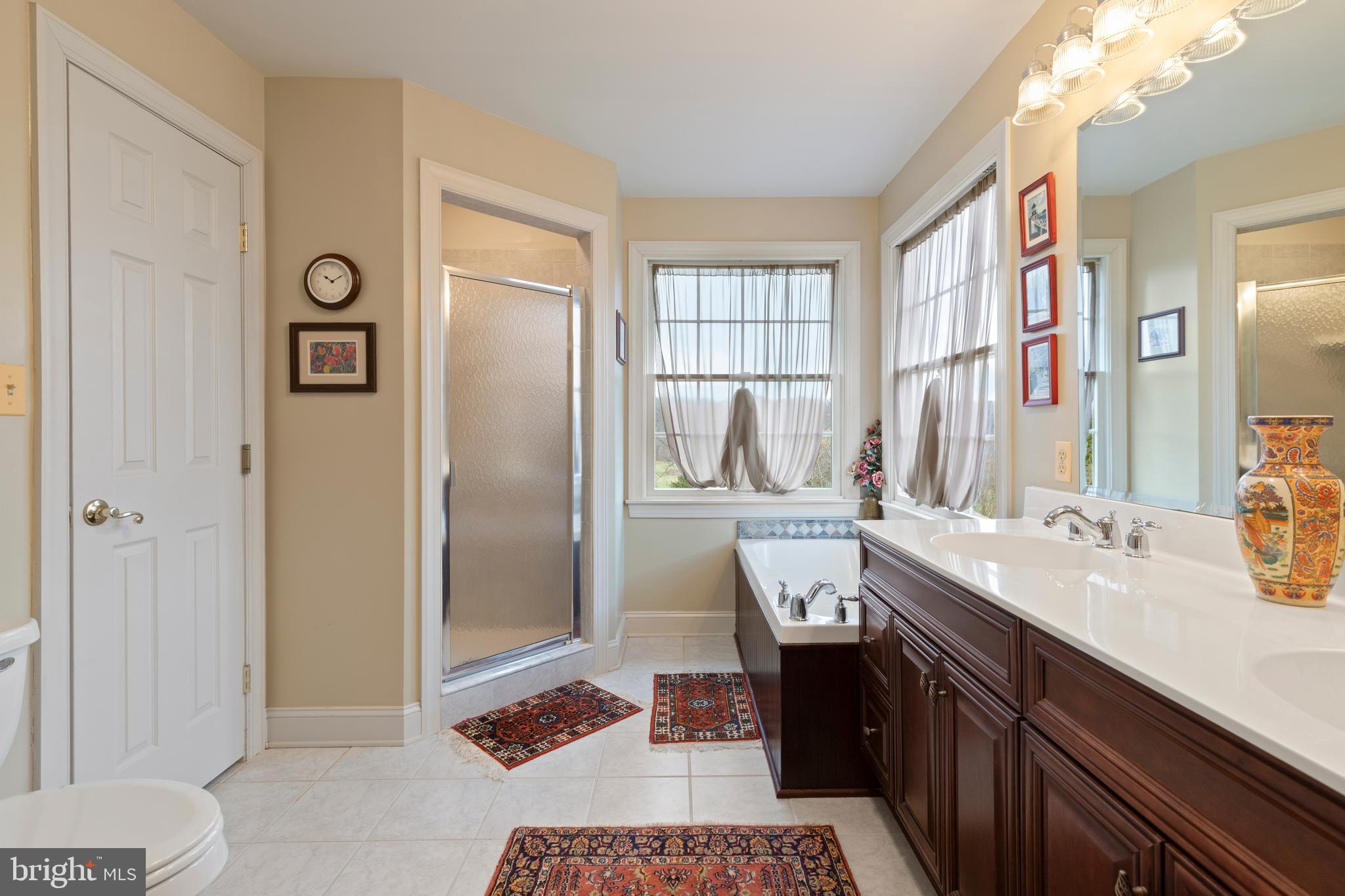 2183 Amoss Mill Road Pylesville, MD 21132 - Photo 40 of 90 a bathroom with a sink and a mirror
