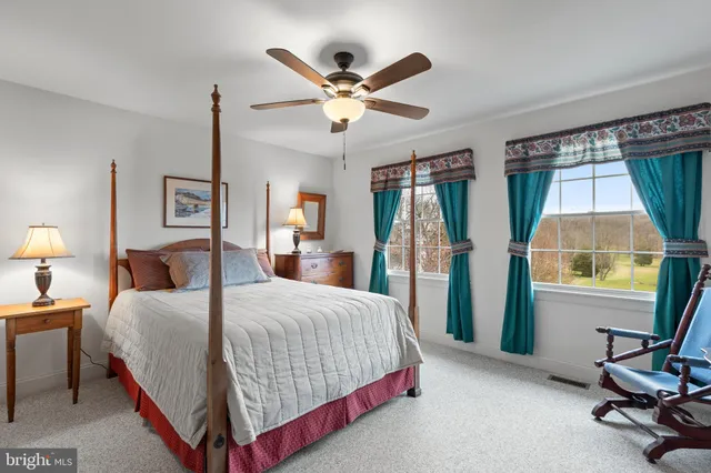 a view of a garden with large trees