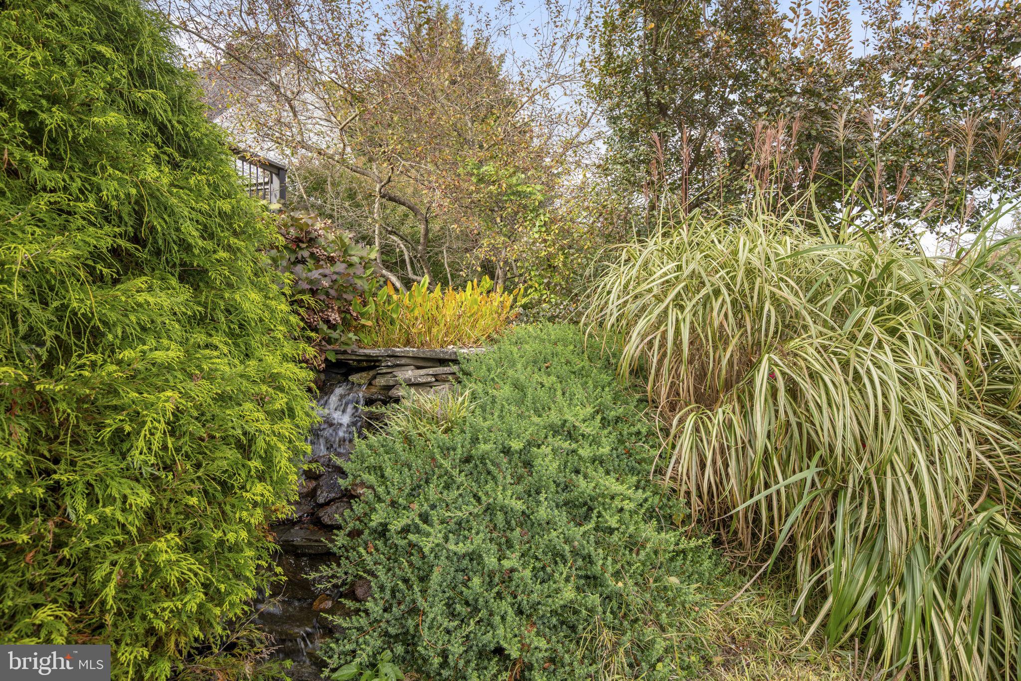 2183 Amoss Mill Road Pylesville, MD 21132 - Photo 64 of 90 a view of a yard with plants and large trees