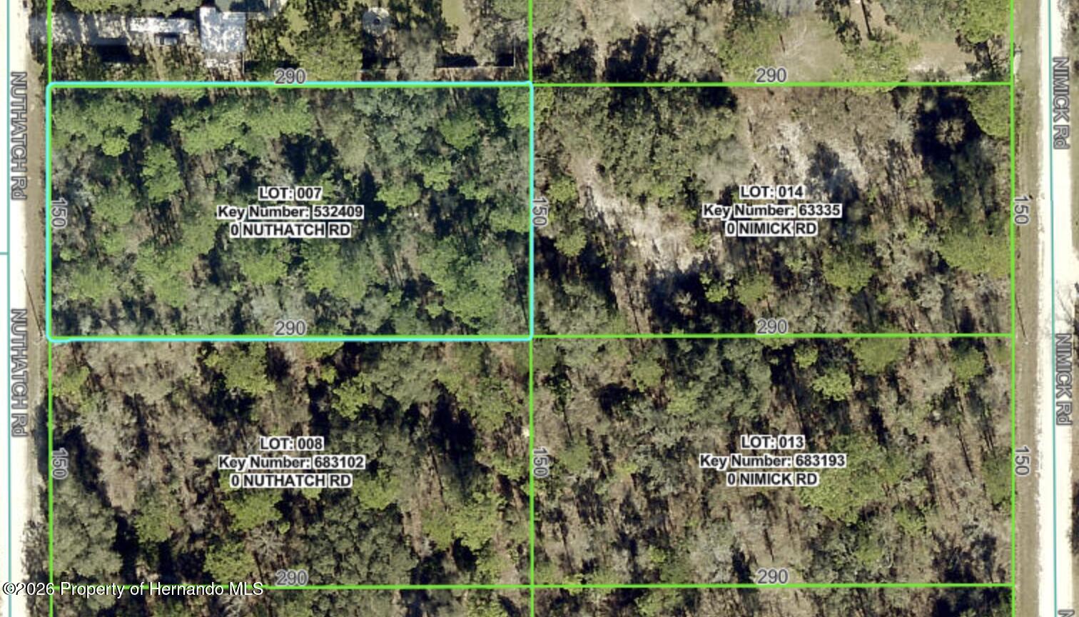 Lot 7 Nuthatch Road Weeki Wachee, FL 34614 - Photo 4 of 12