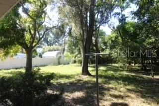 a view of a tree in a yard