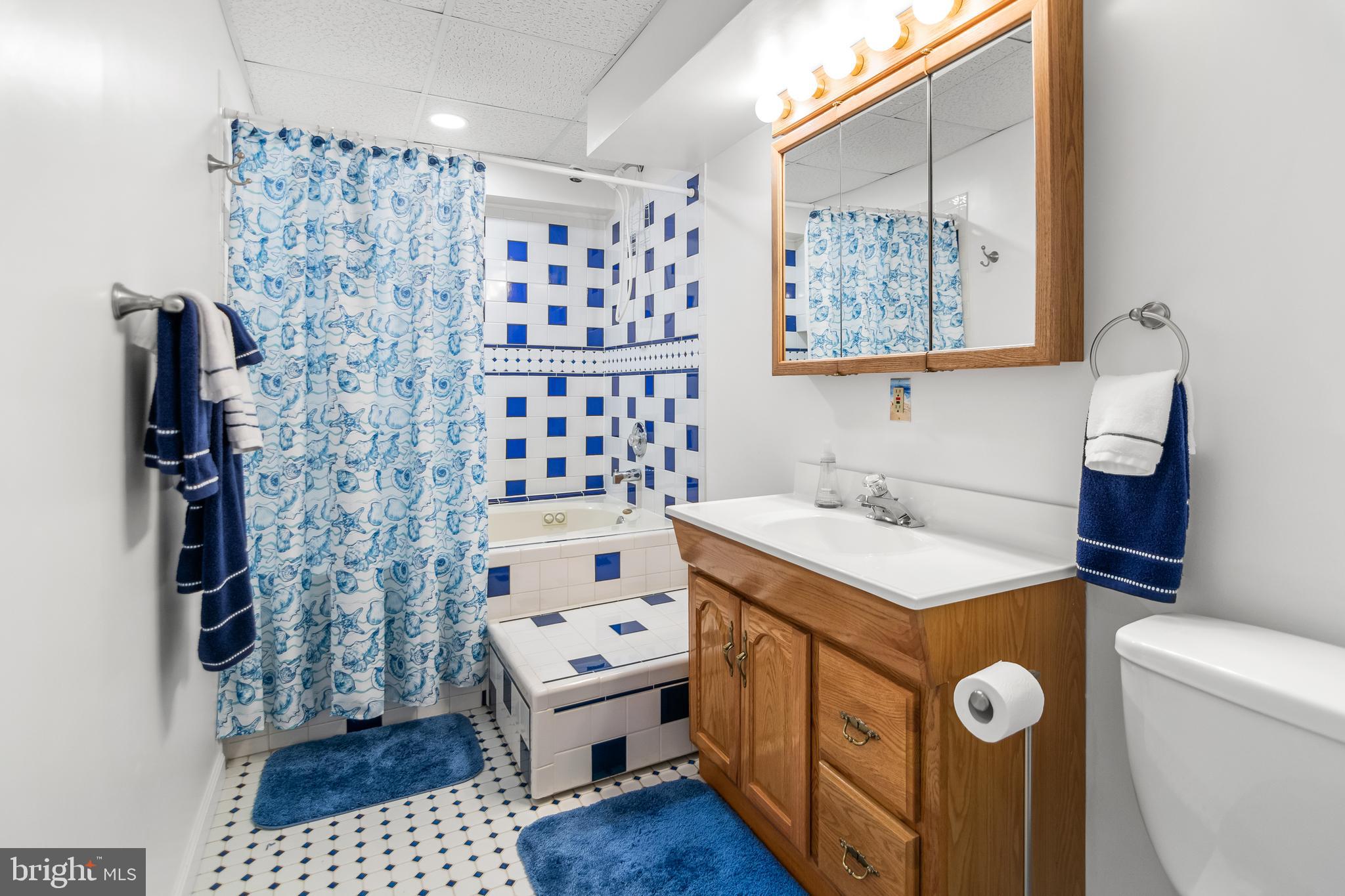 7866 Kings Bench Place Pasadena, MD 21122 - Photo 38 of 51 a bathroom with a sink a toilet and a shower