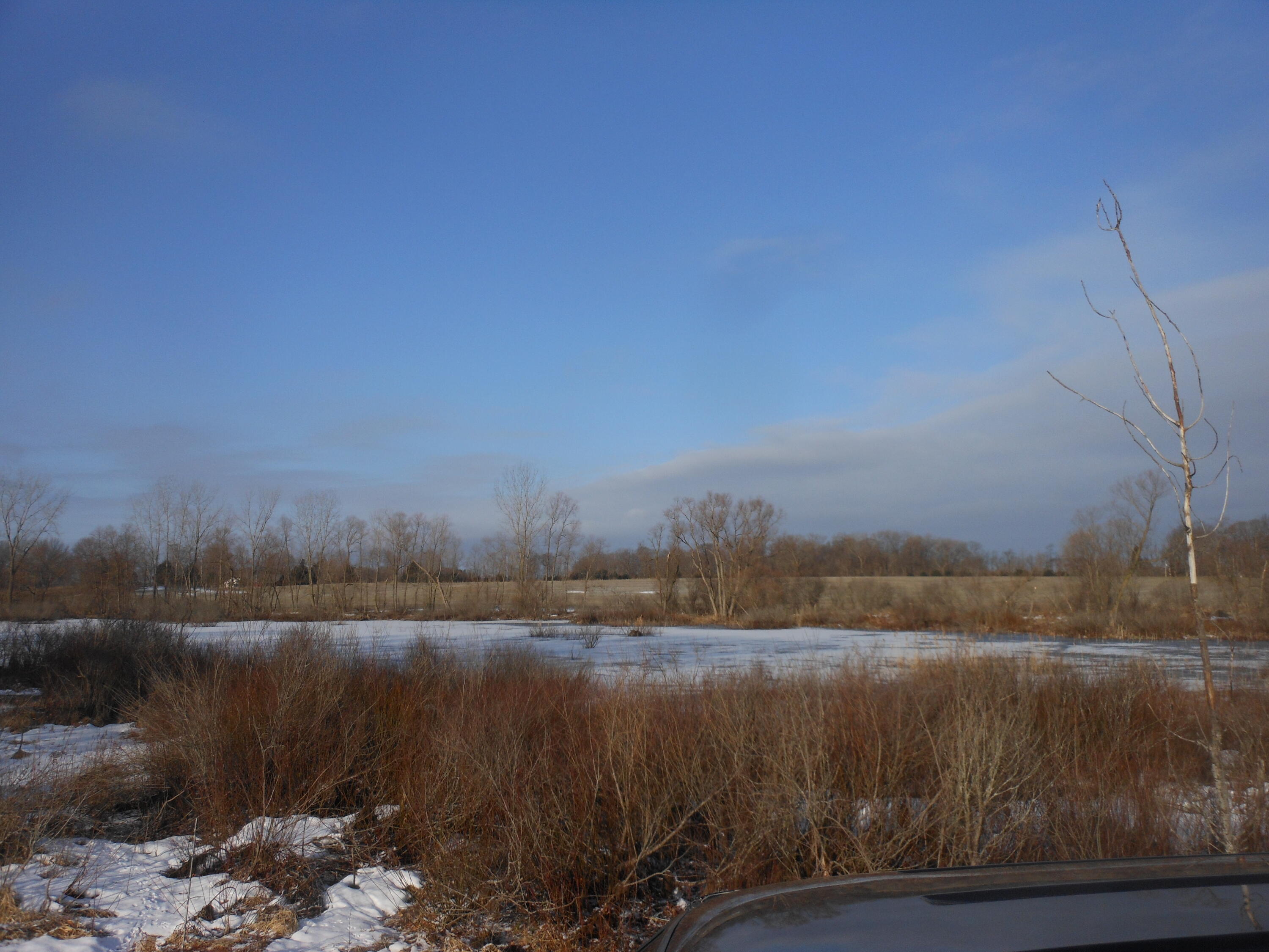 0 Lake Road Berrien Center, MI 49102 - Photo 13 of 14 DSCN6923