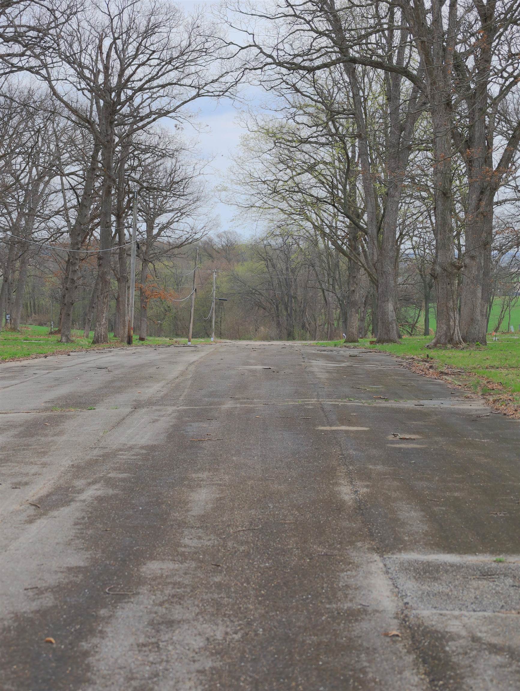4500 East River Road Ridott, IL 61067 - Photo 44 of 54 a view of a field with trees in the background