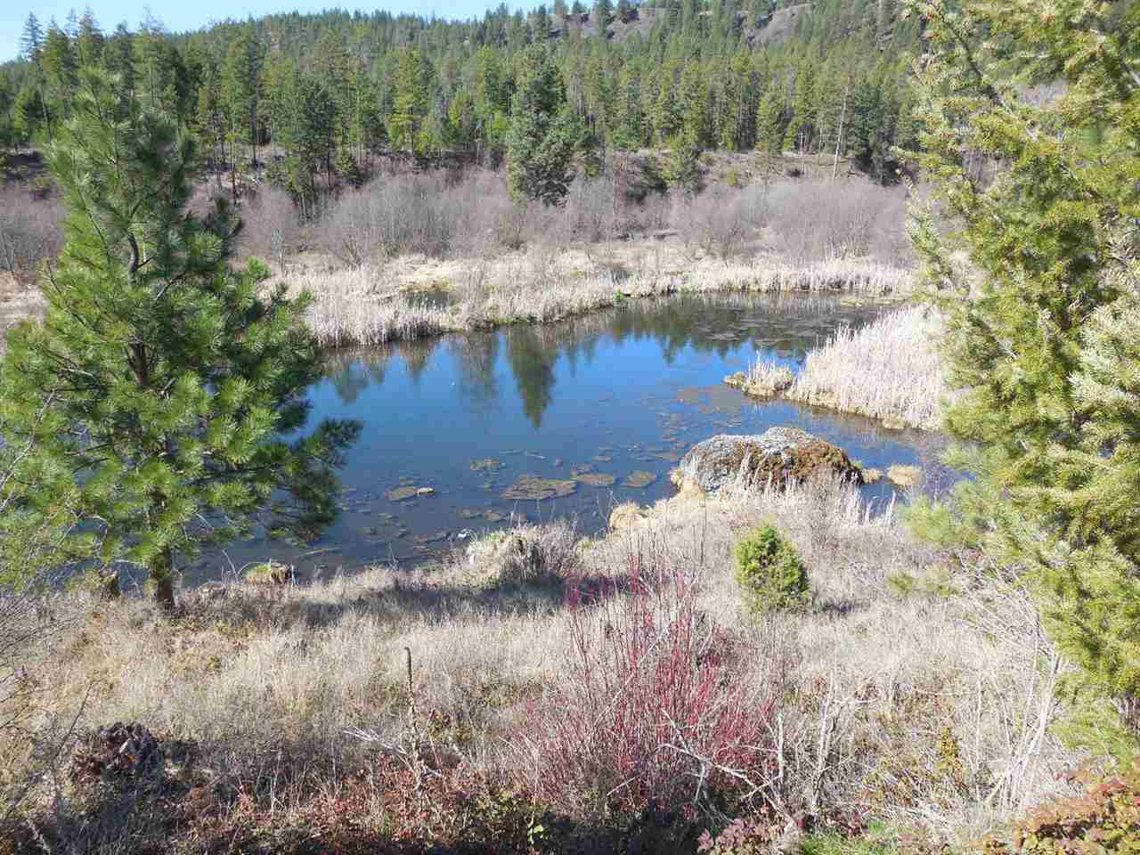 4137 Springdale Hunters Road Springdale, WA 99173 - Photo 2 of 20