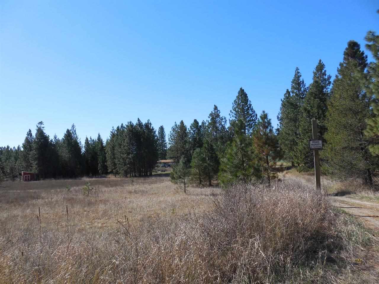 4137 Springdale Hunters Road Springdale, WA 99173 - Photo 19 of 20