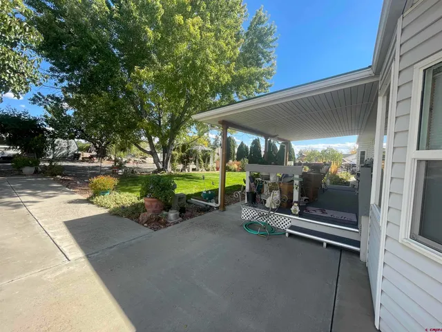 a view of a park with large trees
