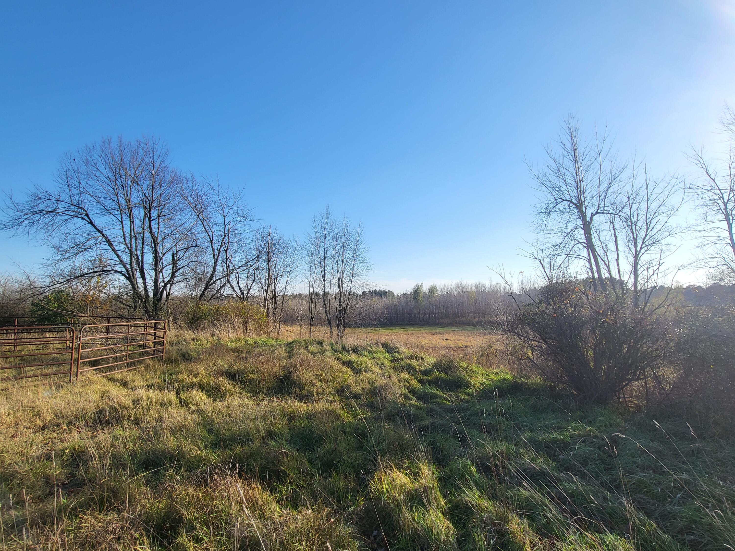 7175 South Delaney Road Owosso, MI 48867 - Photo 92 of 93 Gallery Image 92