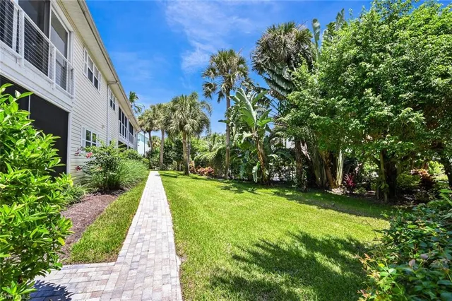 a view of a back yard