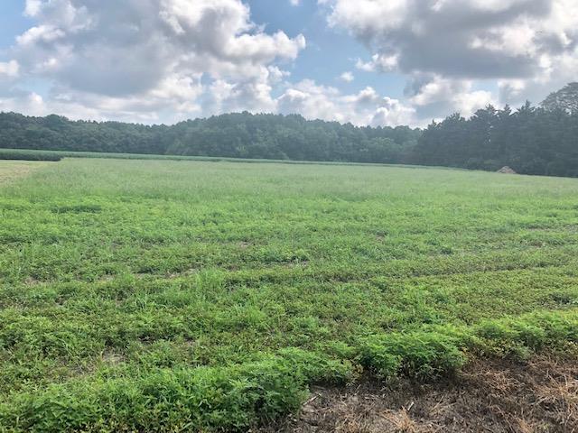Lot #3 Pungoteague Road, Unit 3 Painter, VA 23420 - Photo 3 of 8