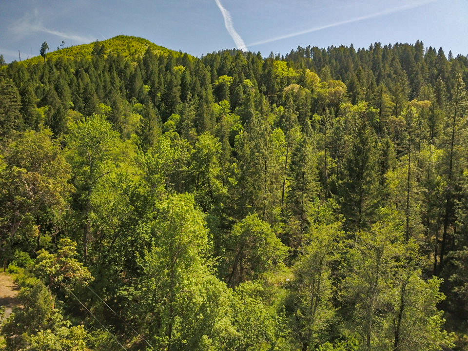 425 Murphy Gulch Road Rogue River, OR 97537 - Photo 22 of 22 IMG_5747