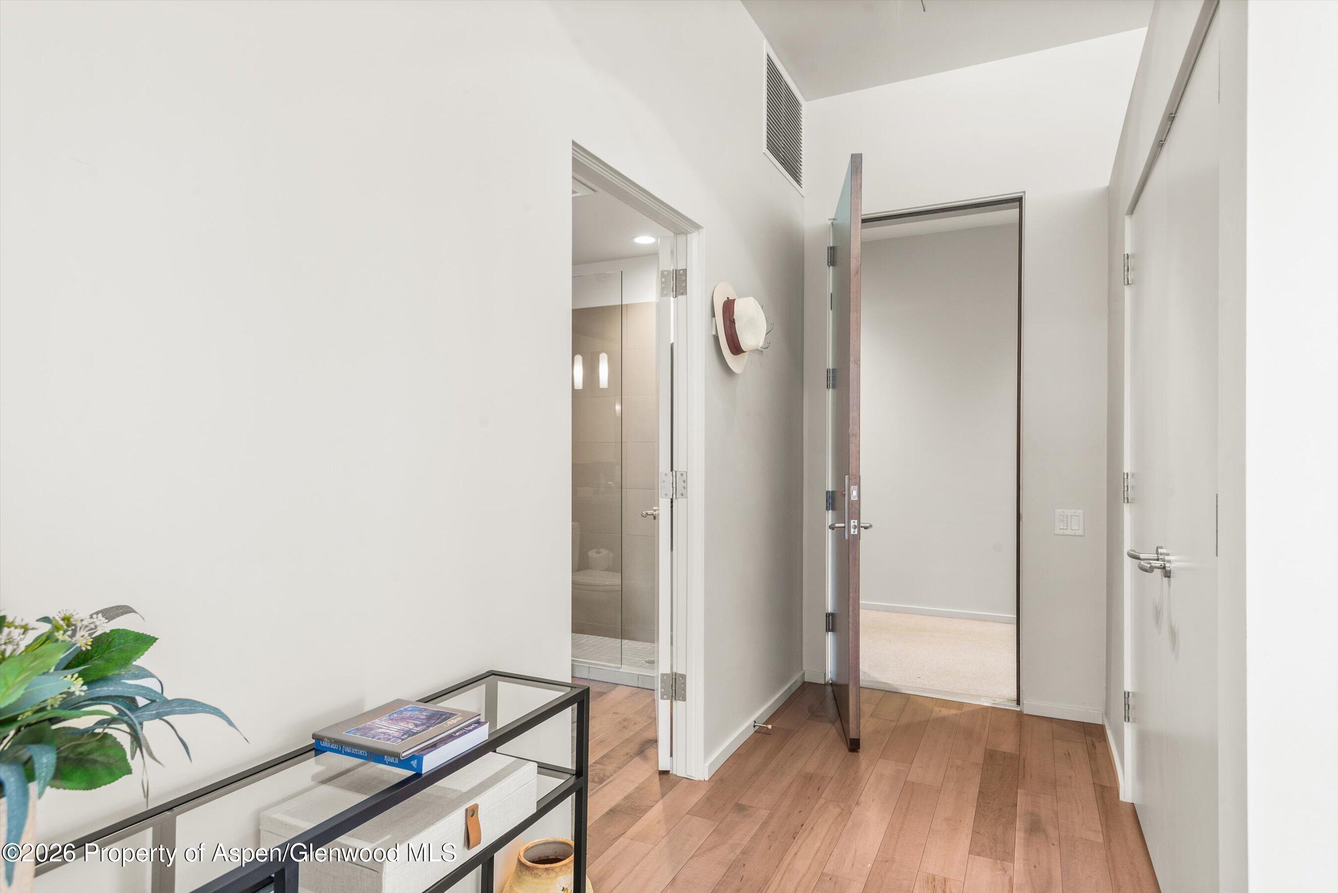 202 Evans Road, Unit 101 Basalt, CO 81621 - Photo 4 of 28 Entry