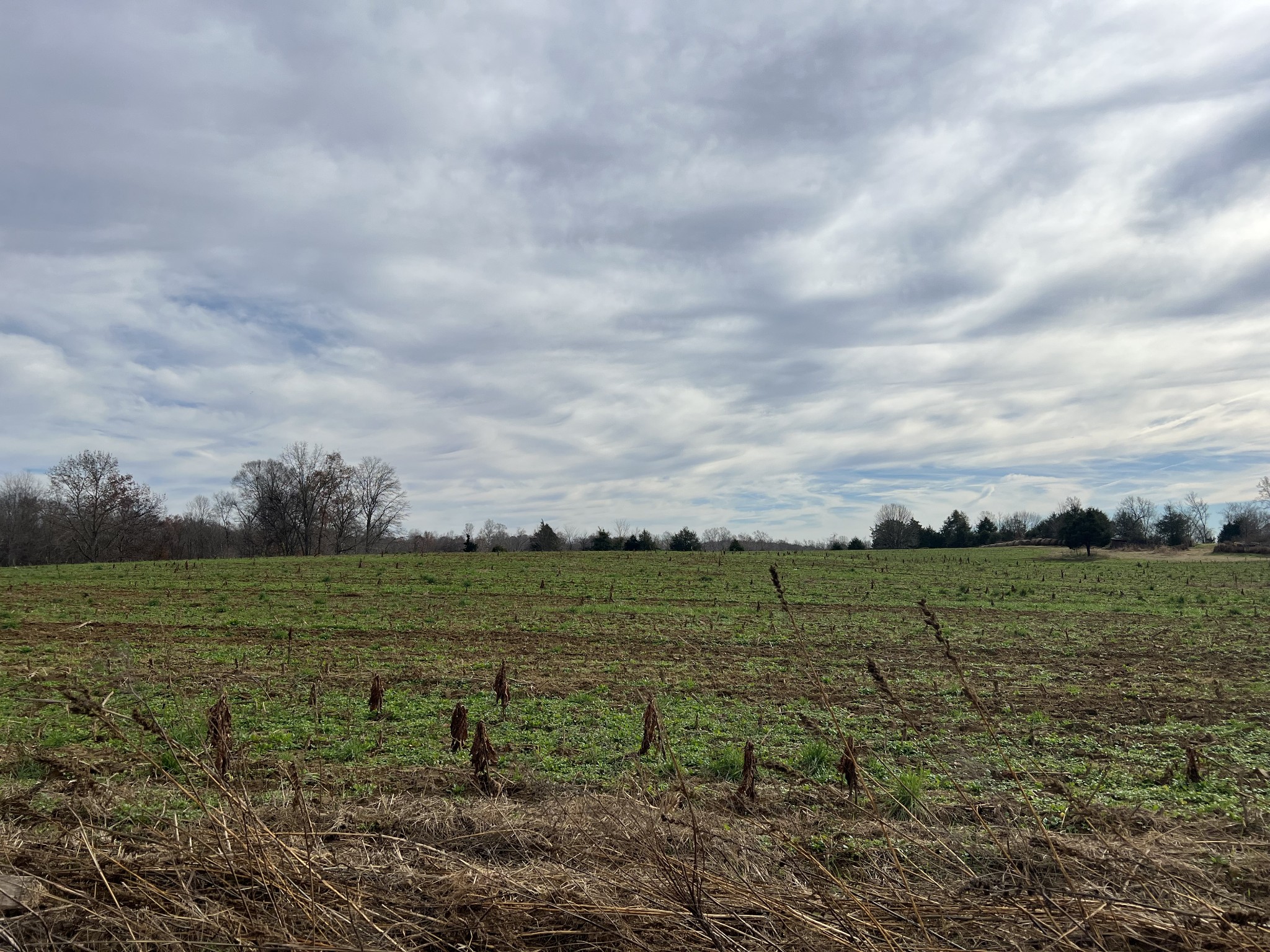 0 Parkhurst Road Red Boiling Springs, TN 37150 - Photo 2 of 2 a view of an outdoor space with deck and yard