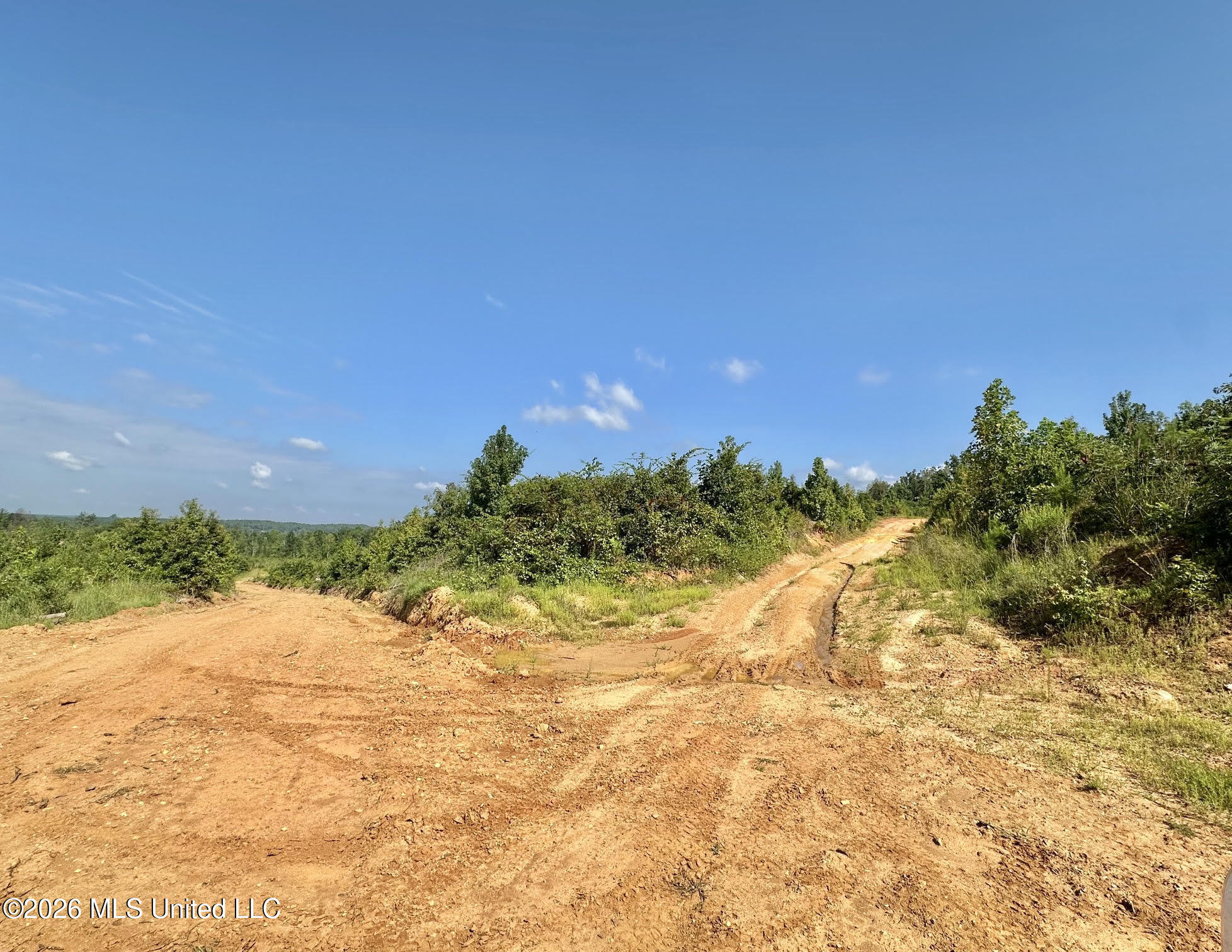 1 Will Womack Road Mantee, MS 39751 - Photo 4 of 10 13