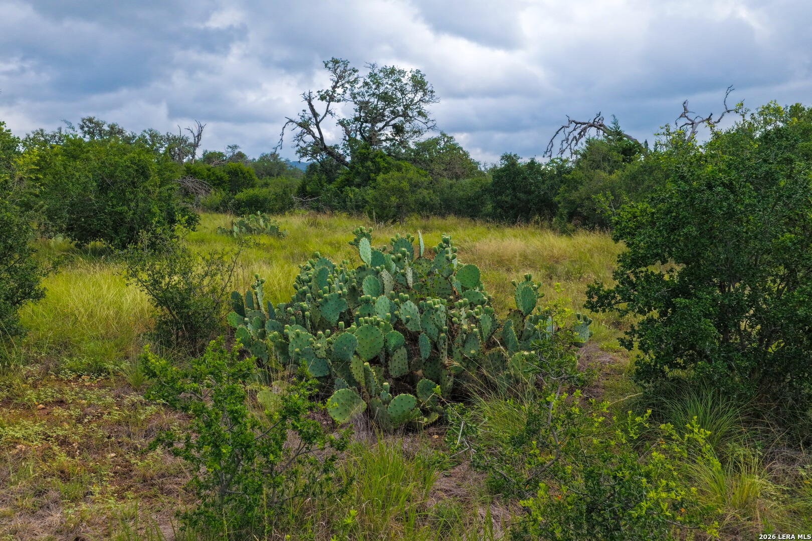 30 Acres /- Peaceful Valley Road Bandera, TX 78003 - Photo 4 of 32
