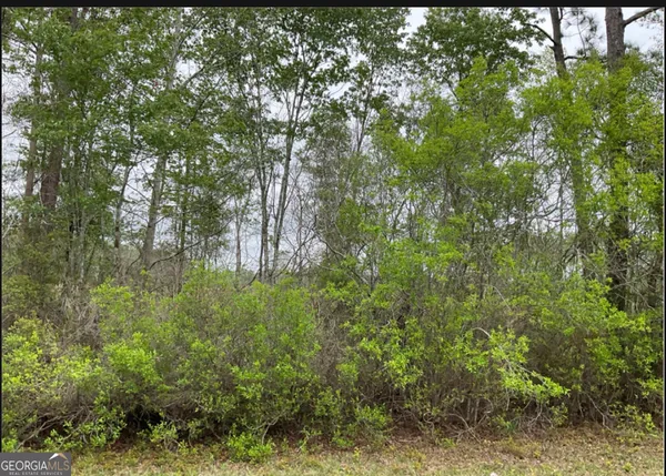 $100,000 | 0 1601ac, Unit TRACT 4, Townsend, GA 31331