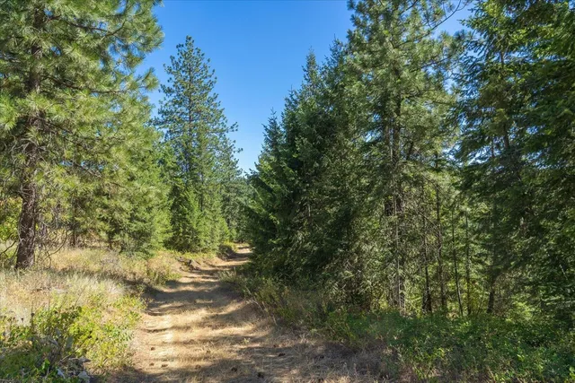 $1,500,000 | 21620 East Lakeview Road, Newman Lake, WA 99025