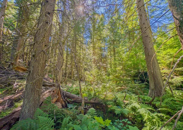 $1,500,000 | 21620 East Lakeview Road, Newman Lake, WA 99025