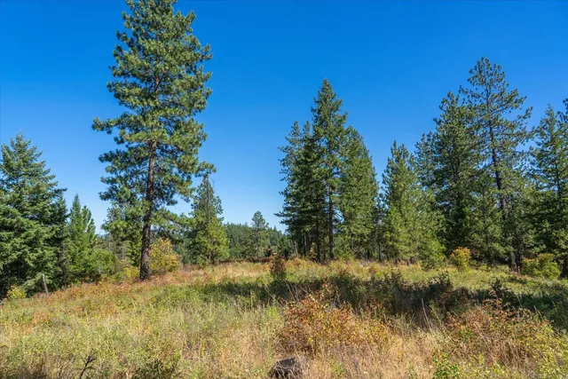 $1,500,000 | 21620 East Lakeview Road, Newman Lake, WA 99025