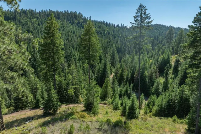 $1,500,000 | 21620 East Lakeview Road, Newman Lake, WA 99025