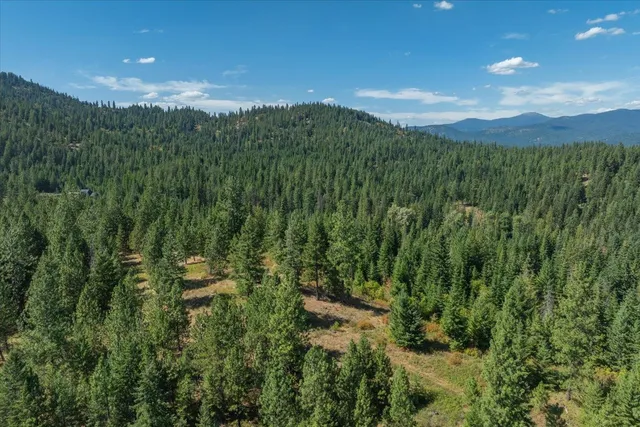 $1,500,000 | 21620 East Lakeview Road, Newman Lake, WA 99025