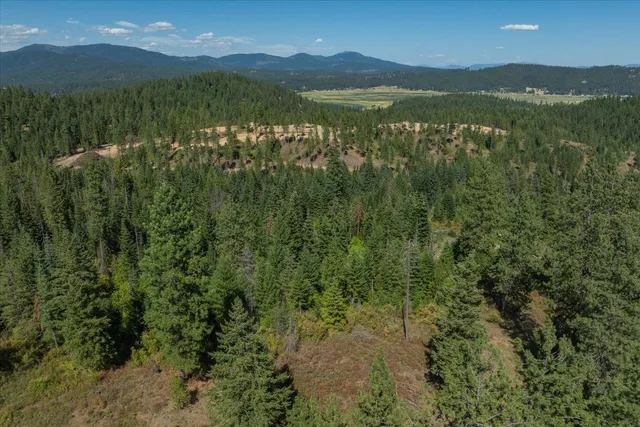 $1,500,000 | 21620 East Lakeview Road, Newman Lake, WA 99025