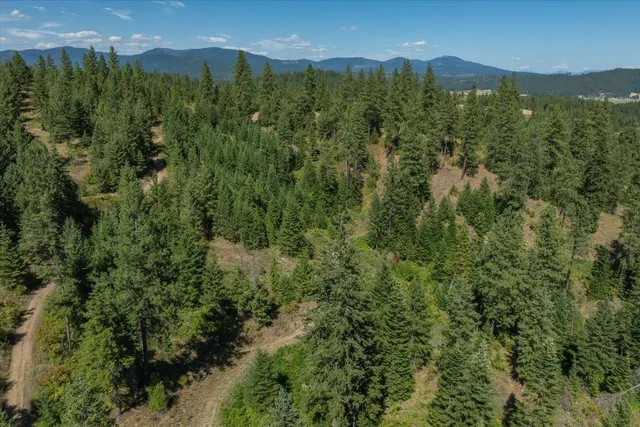 $1,500,000 | 21620 East Lakeview Road, Newman Lake, WA 99025
