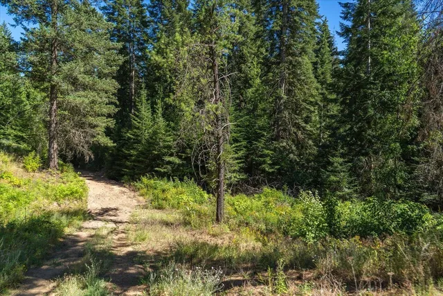 $1,500,000 | 21620 East Lakeview Road, Newman Lake, WA 99025