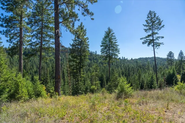 $1,500,000 | 21620 East Lakeview Road, Newman Lake, WA 99025