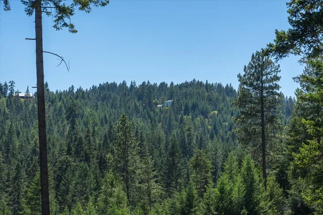 $1,500,000 | 21620 East Lakeview Road, Newman Lake, WA 99025