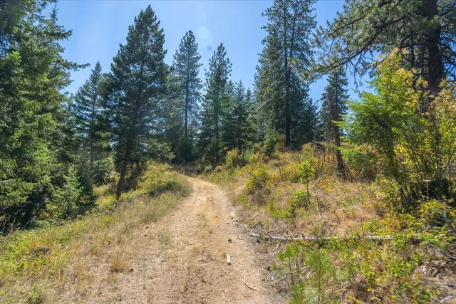 $1,500,000 | 21620 East Lakeview Road, Newman Lake, WA 99025