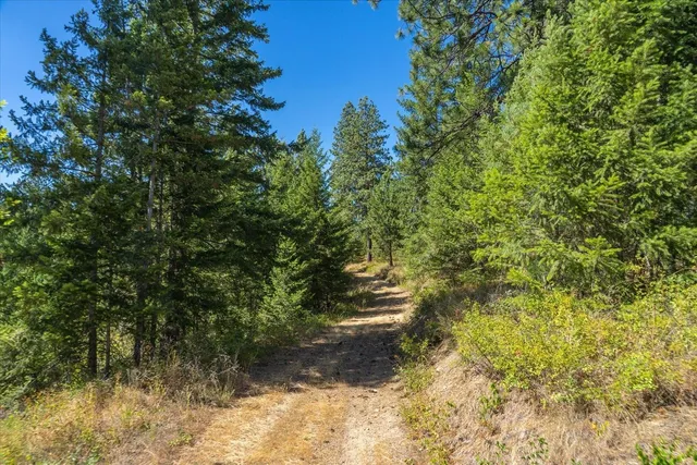 $1,500,000 | 21620 East Lakeview Road, Newman Lake, WA 99025