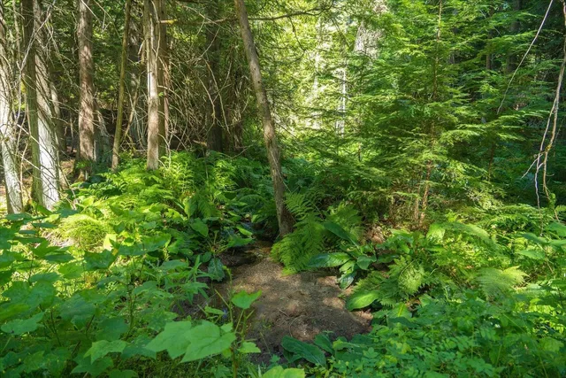 $1,500,000 | 21620 East Lakeview Road, Newman Lake, WA 99025