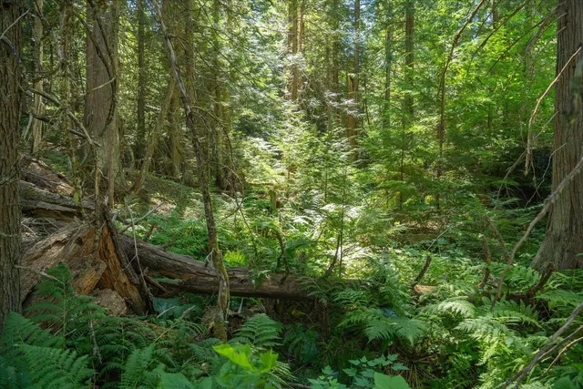 $1,500,000 | 21620 East Lakeview Road, Newman Lake, WA 99025