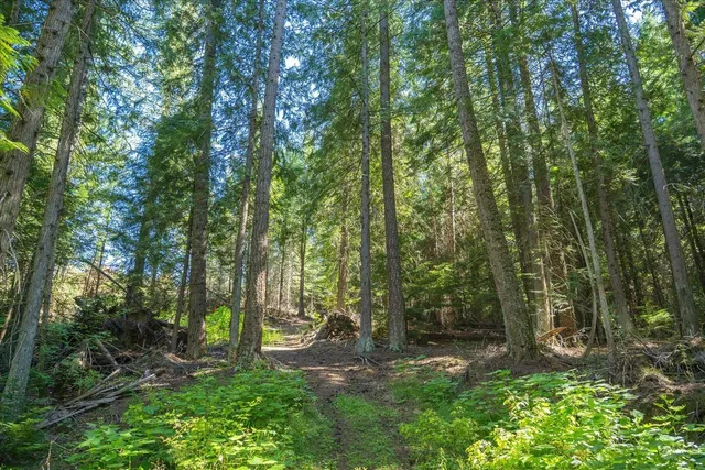 $1,500,000 | 21620 East Lakeview Road, Newman Lake, WA 99025