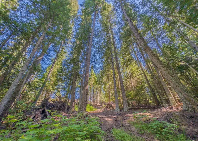 $1,500,000 | 21620 East Lakeview Road, Newman Lake, WA 99025