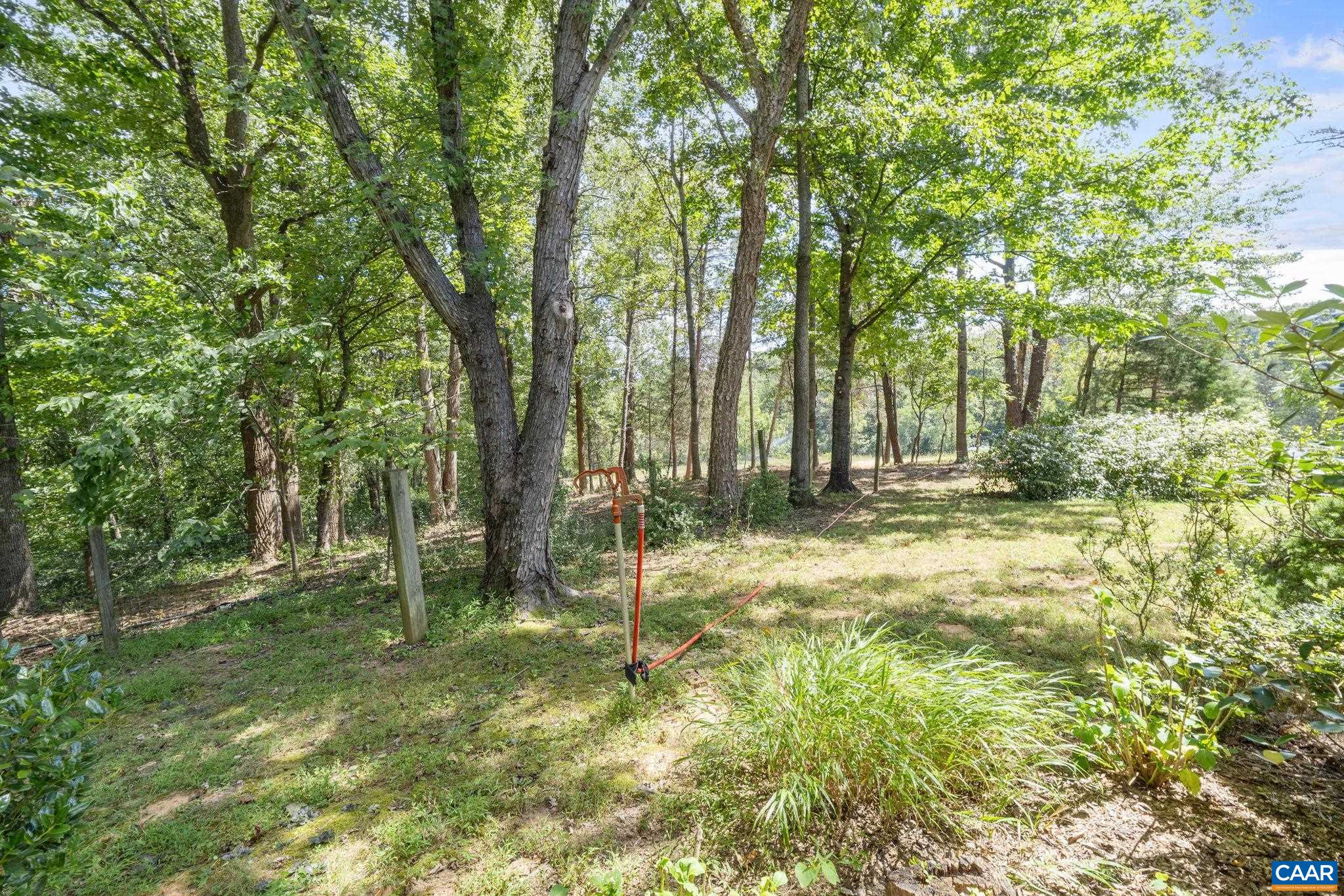 8508 Dick Woods Road Afton, VA 22920 - Photo 46 of 55 a backyard of a house with lots of green space