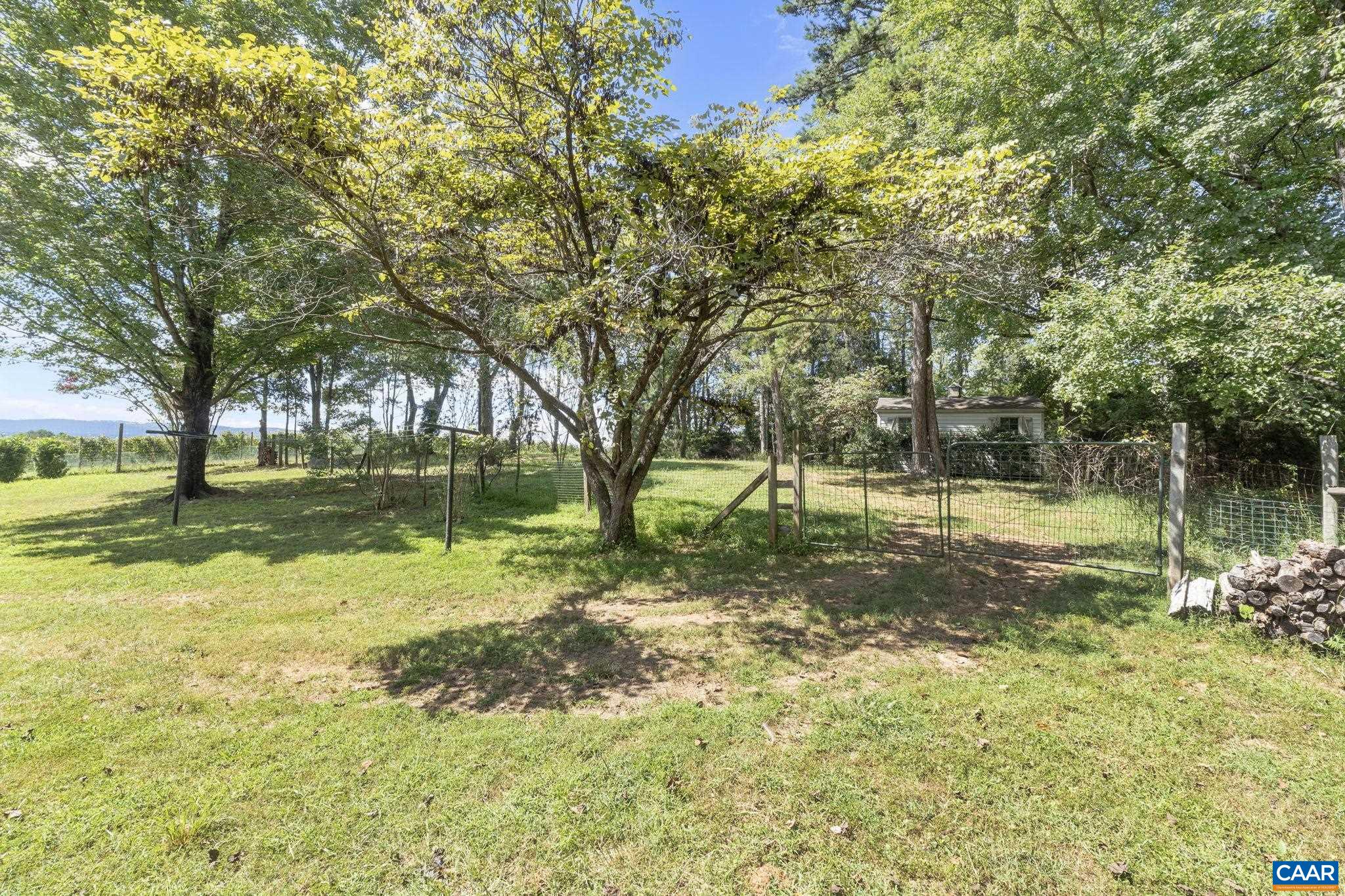 8508 Dick Woods Road Afton, VA 22920 - Photo 49 of 55 a view of a yard with a tree