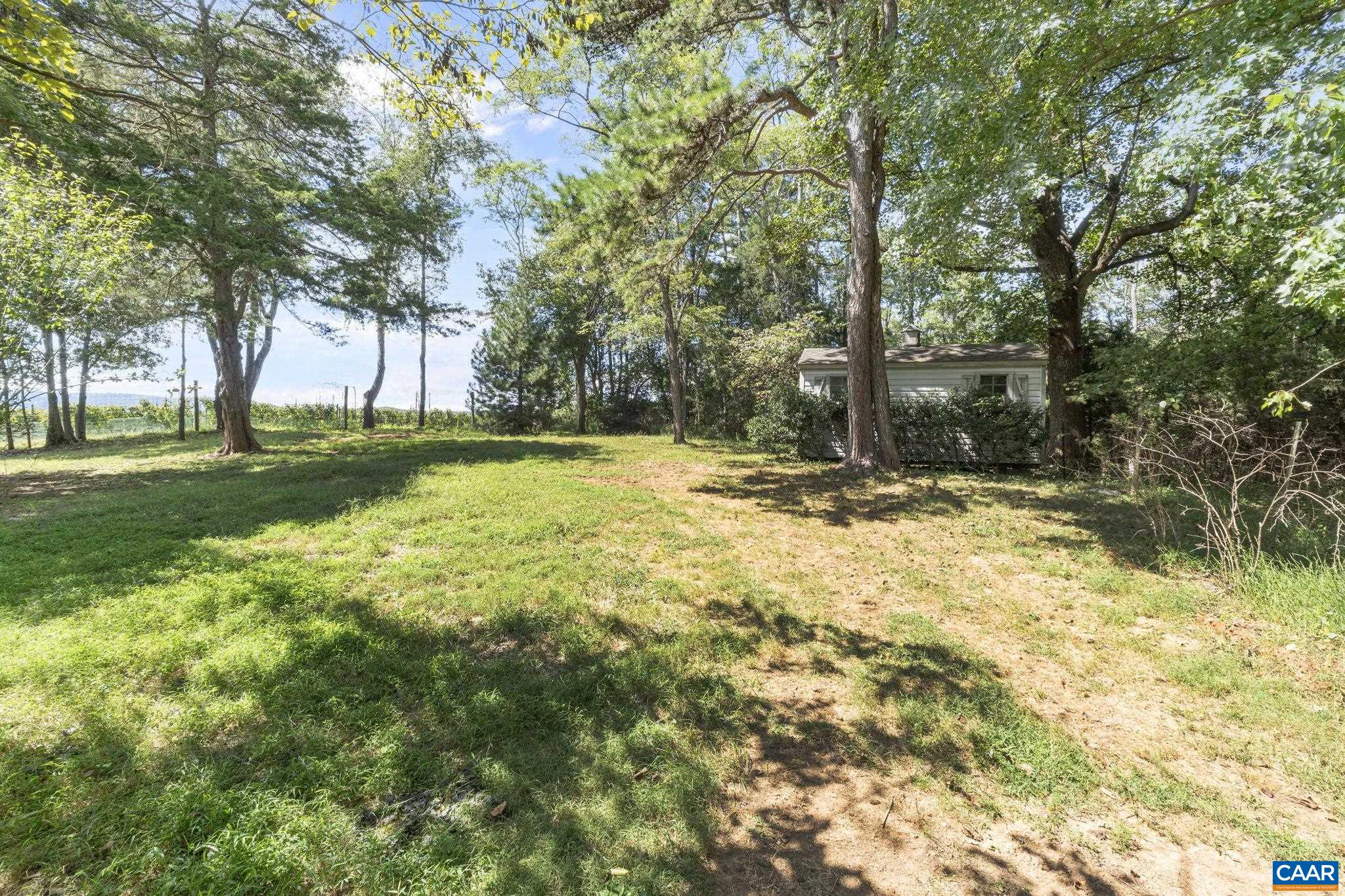 8508 Dick Woods Road Afton, VA 22920 - Photo 51 of 55 a view of outdoor space with trees all around
