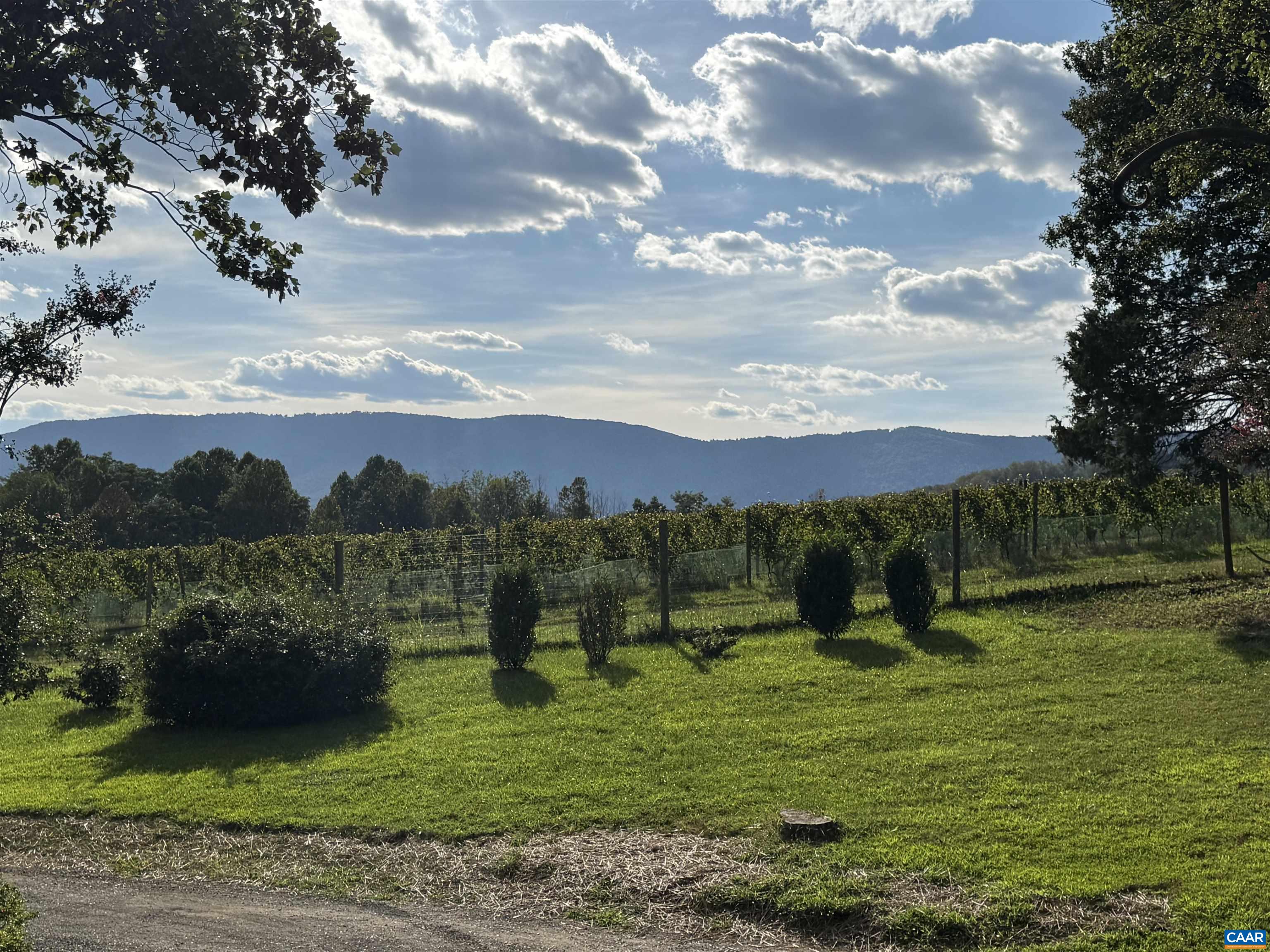 8508 Dick Woods Road Afton, VA 22920 - Photo 6 of 55 a view of a lake with a city
